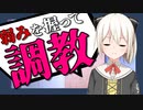 【実況】ぬきたしの製作陣(?)が作った"友達が反旗を翻す"エロゲ『ボクはともだち。∼I am not sweetheart.∼』 #12