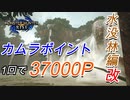 【モンハンライズ】1回で37000P カムラポイントの稼ぎ方 水没林編 改訂版【MHRise】