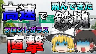 【ゆっくり解説】高速道路を走っていたら、突然前から鉄の塊が･･･『首都高速道側溝蓋跳ね上げ』【1999年】