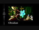 「Obsidian」 NEUTRINO / MERROW