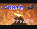 【モンハンライズ】全てのレア環境生物の見付け方をサクッと紹介します【MHRise】