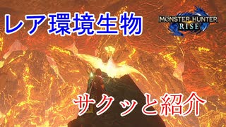 【モンハンライズ】全てのレア環境生物の見付け方をサクッと紹介します【MHRise】