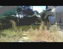のみの唄 Music Video