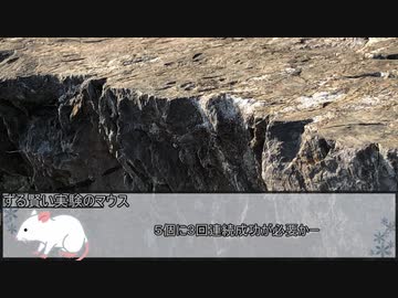 【ウタカゼ】怪盗からの予告状　その３【実卓リプレイ】