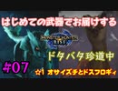 【MHRise】#07 はじめての武器でお届けするドタバタ珍道中 【☆1 オサイズチとドスフロギィ 】