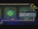 【実況】Monster Sanctuaryやるぞー　part34