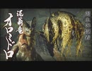 【MHR】発売日から全モンスター倒すまで【実況】part18