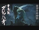 【MHR】発売日から全モンスター倒すまで【実況】part19