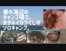 春の海辺のキャンプ場で、ホタルイカづくしのソロキャンプ