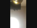 キヨタ君のテーマ