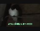 ツバメの観察No001