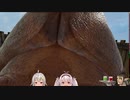 【下ネタ注意】 ○ ○ ぽ の 裏 ス ジ【にじさんじ切り抜き/花畑チャイカ】