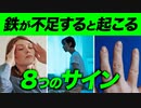 【前半】「鉄」が不足すると起こる8つのサインと過剰摂取について【ビーレジェンド プロテイン】
