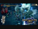 モンスターハンターライズ 　ソロっと実況#8