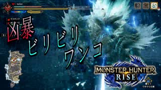 モンスターハンターライズ 　ソロっと実況#8