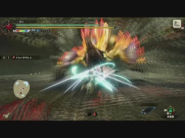 【MHRise】オトモなし ナルハハタヒメ 4′49″82【チャージアックス】
