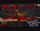 【実況】MHR#27　最凶の敵