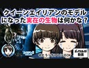 ALIEN2（エイリアン2）本編に登場するクイーンエイリアンのモデルになった実在の生物は何かな？