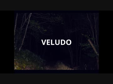 VELUDO / 初音ミク