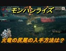 モンハンライズ　火竜の尻尾の入手方法は？　＃２３３【ＭＨＲ】