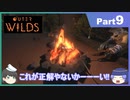 【ゆっくり実況】ムラいちがOuter Wilds Part9