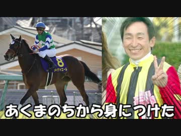 メイケイエールマン