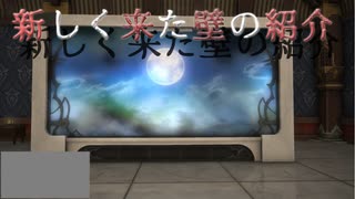 【FF14】新しく来た壁の特性紹介【ハウジング】【housing】