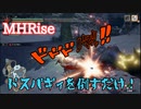 【MHRise】ただドスバギィを狩るだけ！