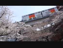 多摩モノレールと桜を多摩センターで撮る