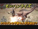 モンハンライズ　ケストドンの甲殻の入手方法は？　＃２４３【ＭＨＲ】