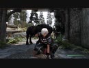 改定版令和3年度4月版最新スカイリムグラフィックmod散歩　リバーウッド～ホワイトランまで（The Skyrim SE 2021 Next Gen Graphics）
