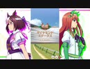 ウマ娘BGM GⅢレース (ダイヤモンドステークス) [2ループ]