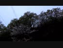 朝チュン20210414-1