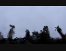 朝チュン20210414-3