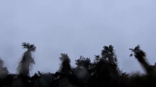 朝チュン20210414-3
