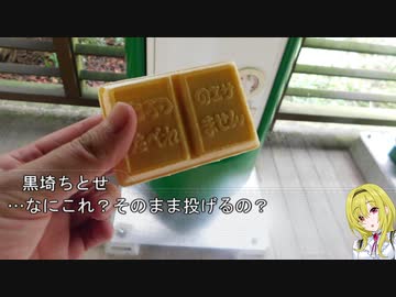 【旅ｍ＠ｓ】アイドルの旅情行記-宝塚～淡路島ルート- ＃02　１日目 後半 六甲山と神戸の夜
