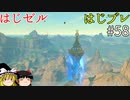 【ゆっくり実況】はじめてのゼルダはじめてのブレワイ part58【ゼルダの伝説ブレスオブザワイルド】