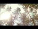 Idlewild - el capitan PV