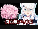 【白上フブキ】絶対に何かある闇が深い白上林業【ホロライブ/切り抜き】