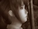 ゼロがいい ゼロになろう 零実況 最終夜