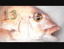 【１３】タイラバ　伊勢湾の春の鯛の味は・・・