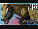 だらだら進んでいくモンハンライズ実況風【モンスターハンターライズ MONSTER HUNTER RISE】集会所 #18