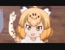 豹はダービー☆