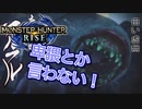 【双剣第一】モンスターハンターRISE#12（里クエ★３フルフル）