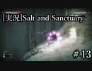 海外視聴者兄貴参戦!!【ソルト＆サンクチュアリ】♯13