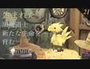 【実況】黒魔道士とチョコボと生命【FF9 #21】
