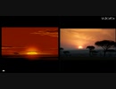 The Lion King 比較