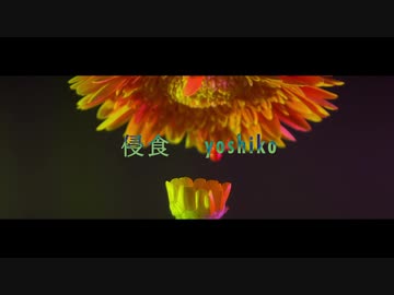 侵食 : yoshiko / 鏡音リン