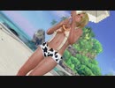 【DoaX3F】グラビアパラダイス エレナ 041609