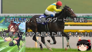 【競馬】ゆっくりさんと未来に語り継ぎたい名馬たち その013【ゆっくり朗読】